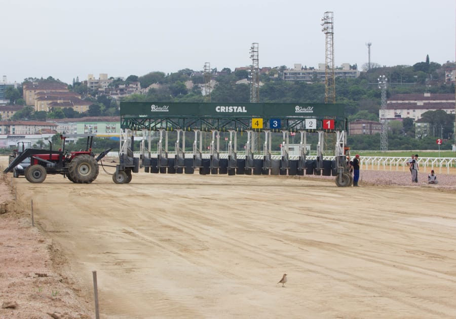 Partidor do Hipódromo do Cristal preparado para a largada na pista de areia