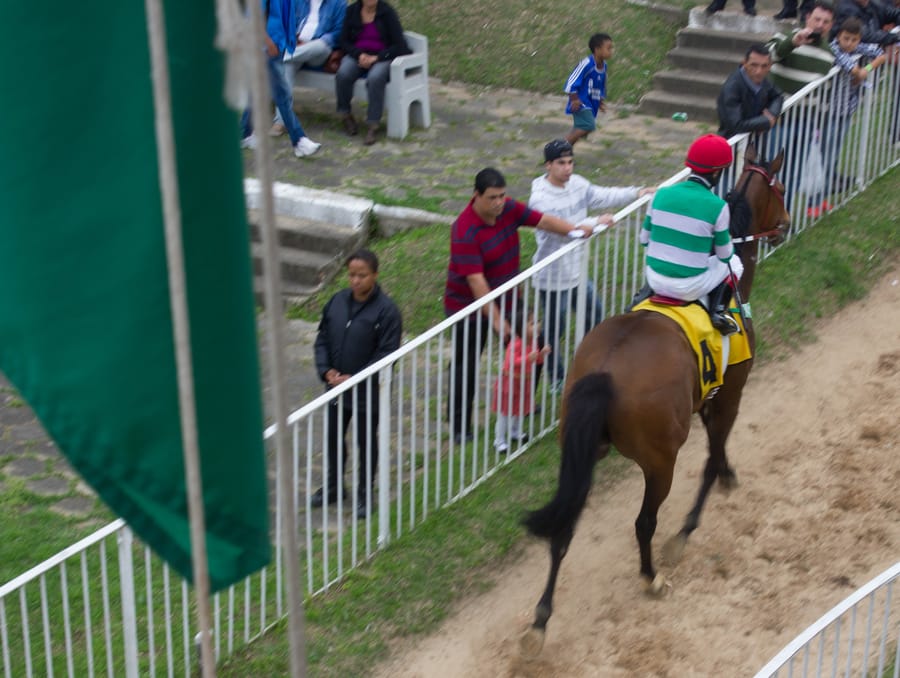Cavalo e jóquei passam pela cerca do paddock do Cristal diante do público